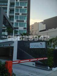 Coralis (D15), Condominium #90909402